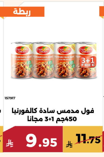 available at Forat Garden in KSA, Saudi Arabia, Saudi - Mecca