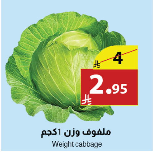 Cabbage available at Abyati Stores in KSA, Saudi Arabia, Saudi - Tabuk