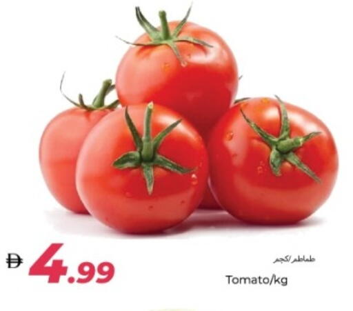 Tomato available at Rawabi Market Ajman in UAE - Sharjah / Ajman