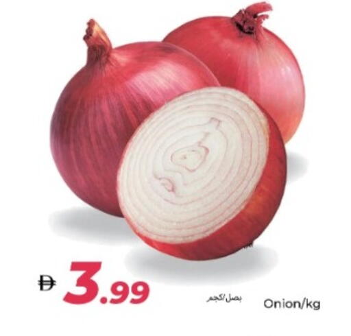 Onion available at  روابي ماركت عجمان in الإمارات العربية المتحدة , الامارات - الشارقة / عجمان