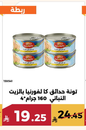 available at Forat Garden in KSA, Saudi Arabia, Saudi - Mecca