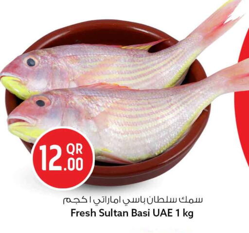 available at سفاري هايبر ماركت in قطر - الدوحة