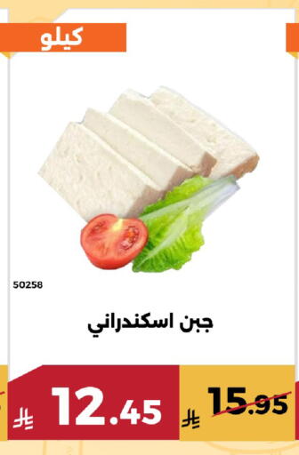 available at Forat Garden in KSA, Saudi Arabia, Saudi - Mecca