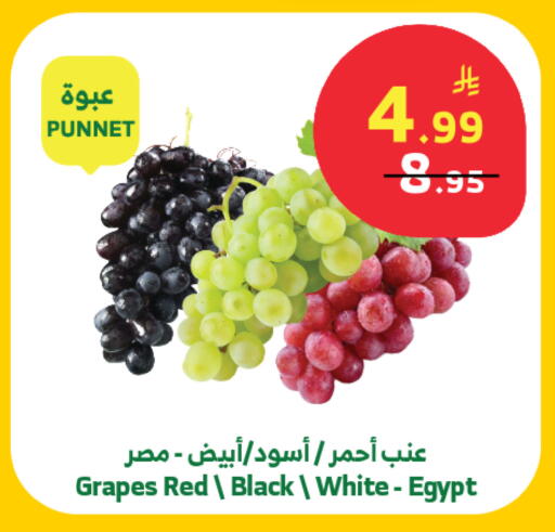 Grapes from Egypt available at Al Raya in KSA, Saudi Arabia, Saudi - Tabuk