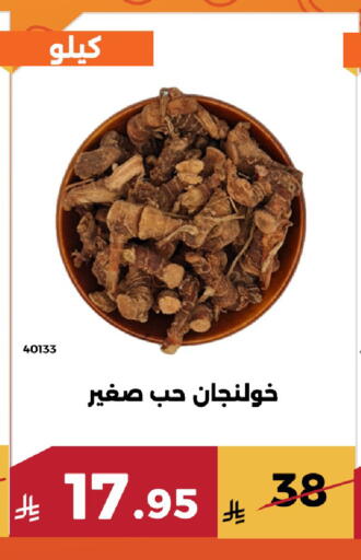 available at Forat Garden in KSA, Saudi Arabia, Saudi - Mecca