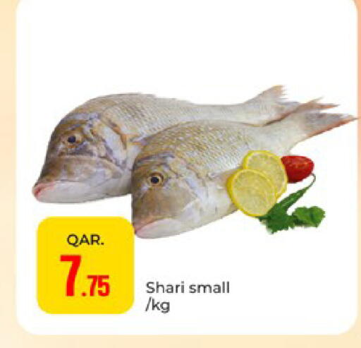 available at Paris Hypermarket in Qatar - Doha