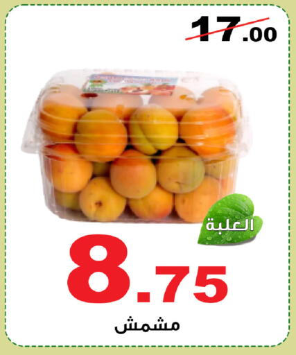 available at المتسوق الذكى in مملكة العربية السعودية, السعودية, سعودية - خميس مشيط