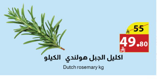 Rosemary from Netherlands available at Abyati Stores in KSA, Saudi Arabia, Saudi - Medina