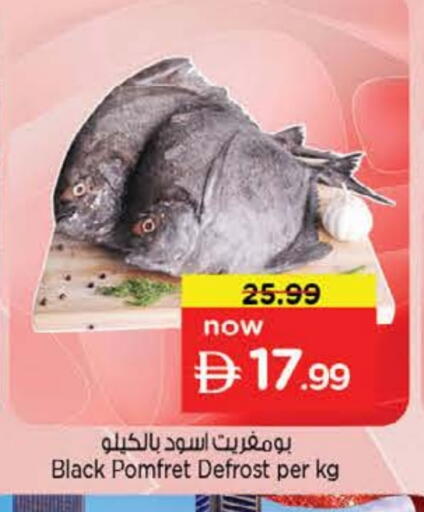 available at نستو هايبرماركت in الإمارات العربية المتحدة , الامارات - الشارقة / عجمان
