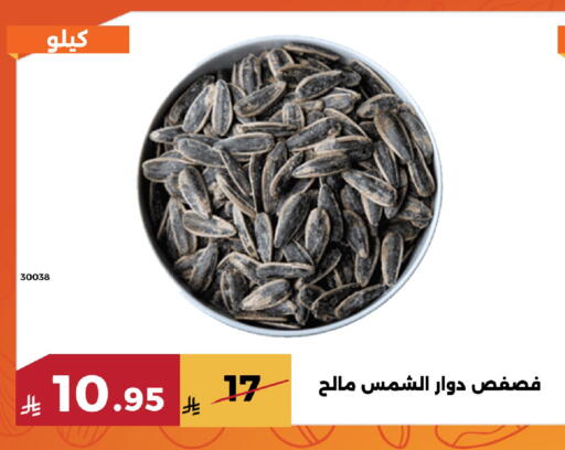available at Forat Garden in KSA, Saudi Arabia, Saudi - Mecca
