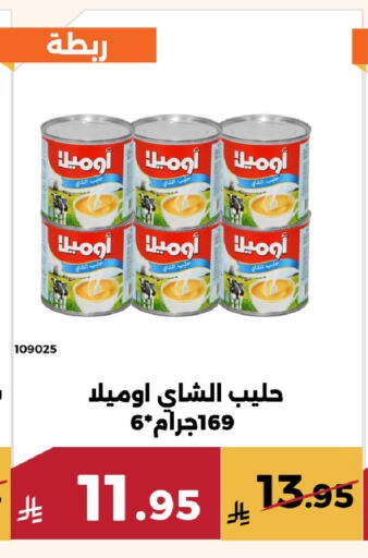 available at Forat Garden in KSA, Saudi Arabia, Saudi - Mecca