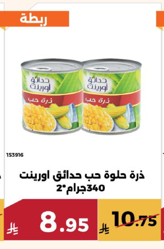 available at Forat Garden in KSA, Saudi Arabia, Saudi - Mecca