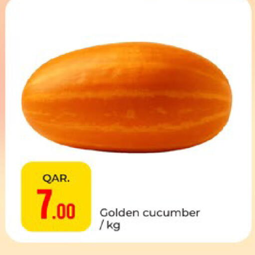 Cucumber available at باريس هايبرماركت in قطر - الخور