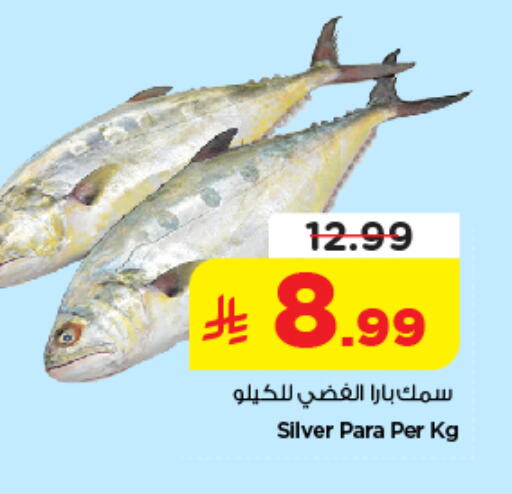 available at نستو in مملكة العربية السعودية, السعودية, سعودية - بريدة