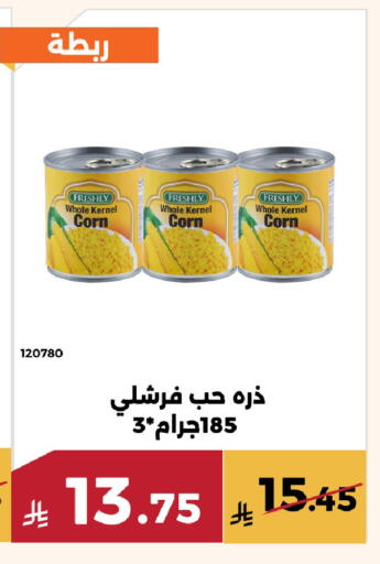 available at Forat Garden in KSA, Saudi Arabia, Saudi - Mecca