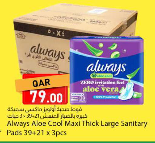 available at دانا ماركت in قطر - الشحانية