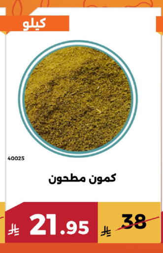 available at Forat Garden in KSA, Saudi Arabia, Saudi - Mecca