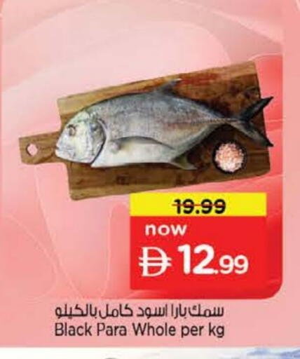 available at نستو هايبرماركت in الإمارات العربية المتحدة , الامارات - الشارقة / عجمان