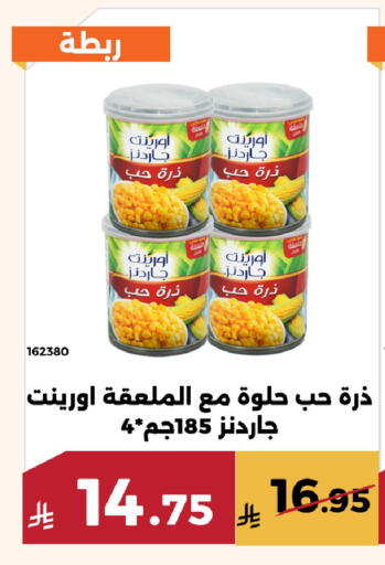 available at Forat Garden in KSA, Saudi Arabia, Saudi - Mecca