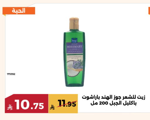 Rosemary available at Forat Garden in KSA, Saudi Arabia, Saudi - Mecca