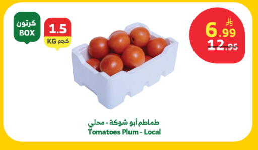 Plum Tomato available at الراية in مملكة العربية السعودية, السعودية, سعودية - جدة