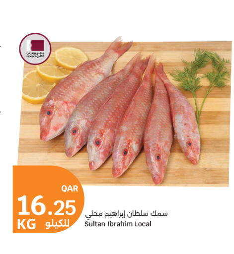 available at سيتي هايبرماركت in قطر - الدوحة