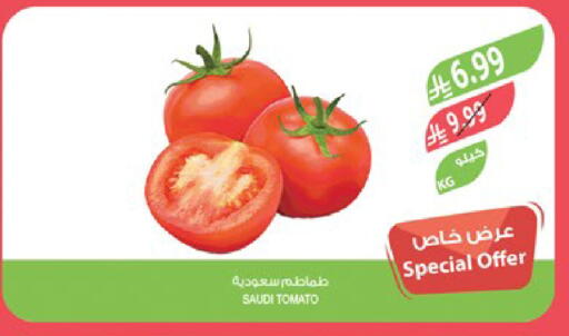 Tomato from Saudi Arabia available at المزرعة in مملكة العربية السعودية, السعودية, سعودية - جدة
