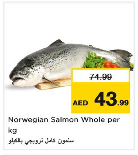 available at نستو هايبرماركت in الإمارات العربية المتحدة , الامارات - رَأْس ٱلْخَيْمَة