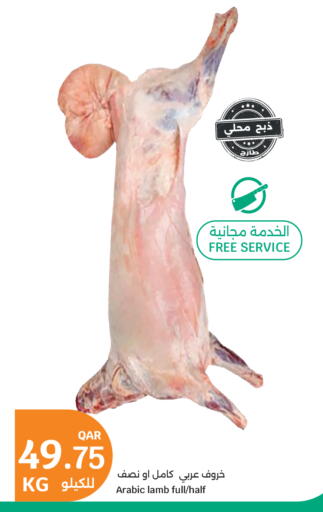 available at سيتي هايبرماركت in قطر - الضعاين