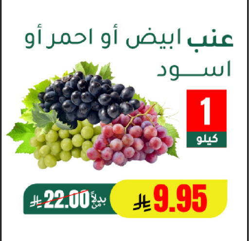 available at الهاجري الأغذية in مملكة العربية السعودية, السعودية, سعودية - خميس مشيط