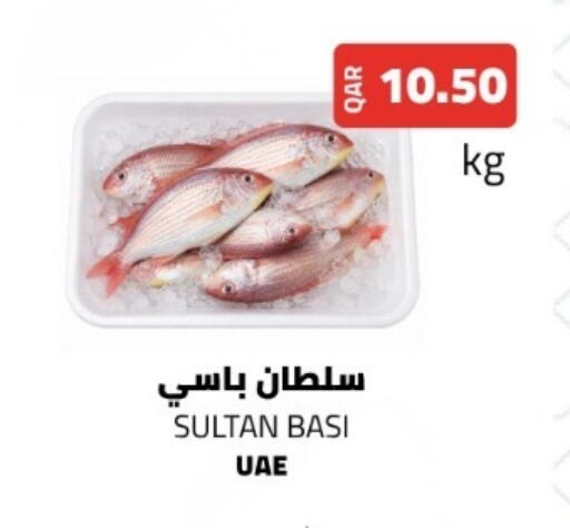 available at البلدي اليوم in قطر - الدوحة