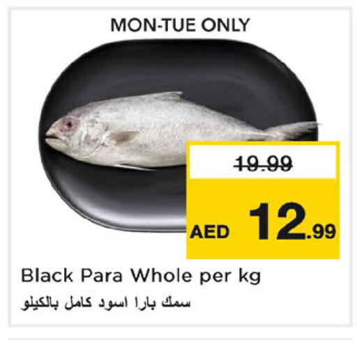 available at نستو هايبرماركت in الإمارات العربية المتحدة , الامارات - رَأْس ٱلْخَيْمَة