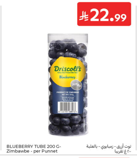 Blueberry BlueBerry from Zimbabwe Netherlands available at Carrefour in KSA, Saudi Arabia, Saudi - Medina