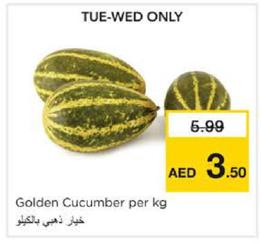 Cucumber available at نستو هايبرماركت in الإمارات العربية المتحدة , الامارات - الشارقة / عجمان
