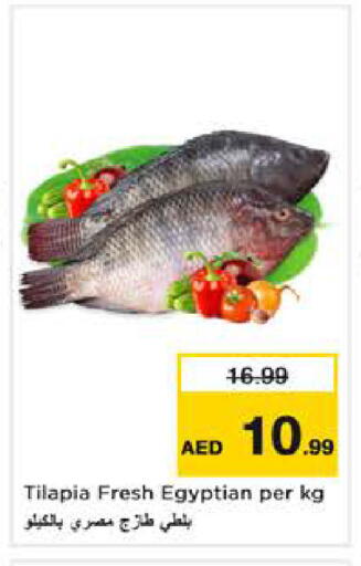 available at نستو هايبرماركت in الإمارات العربية المتحدة , الامارات - دبي