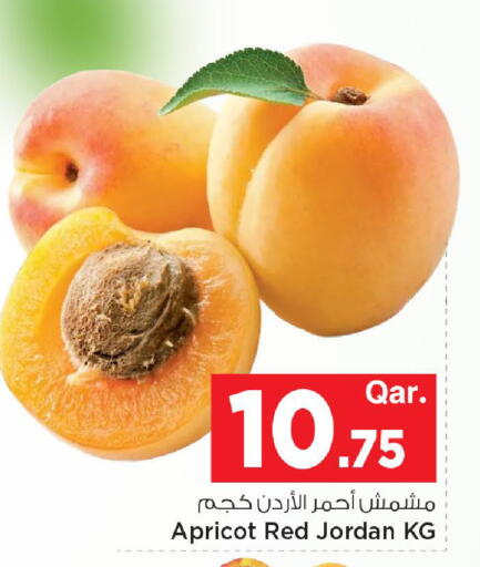 Apricot from Jordan available at Mark & Save  in Qatar - Doha