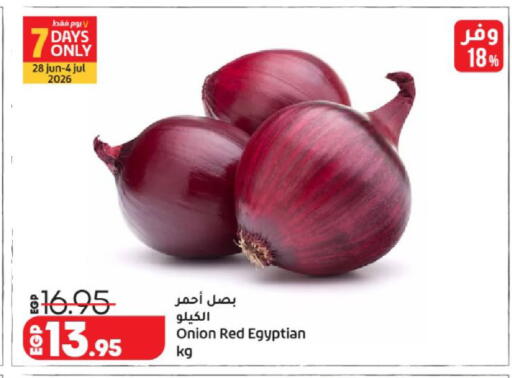 Onion from Egypt available at لولو هايبرماركت in Egypt - القاهرة