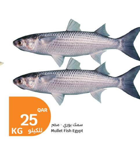 available at سيتي هايبرماركت in قطر - الدوحة