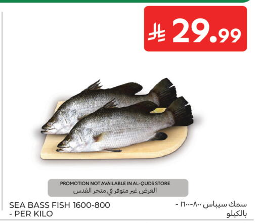 available at كارفور in مملكة العربية السعودية, السعودية, سعودية - الخبر‎