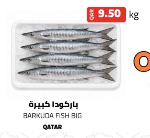 available at البلدي اليوم in قطر - الدوحة