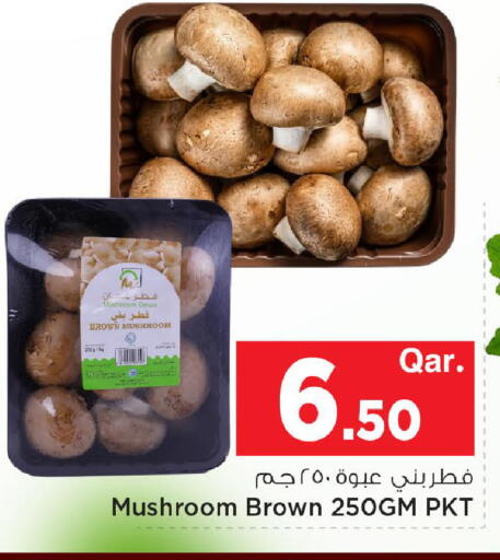 Mushroom from Oman available at مارك & سيف in قطر - الوكرة