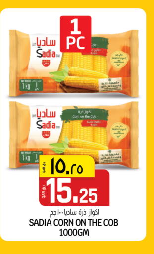 available at السعودية in قطر - الشحانية
