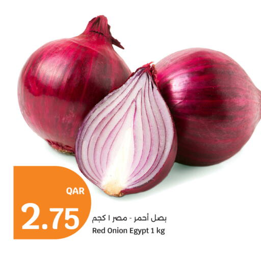 Onion from Egypt available at سيتي هايبرماركت in قطر - الدوحة