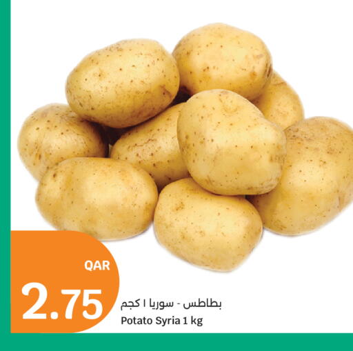 Potato from Syria available at سيتي هايبرماركت in قطر - الشمال