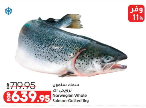 available at Lulu Hypermarket  in Egypt - Cairo