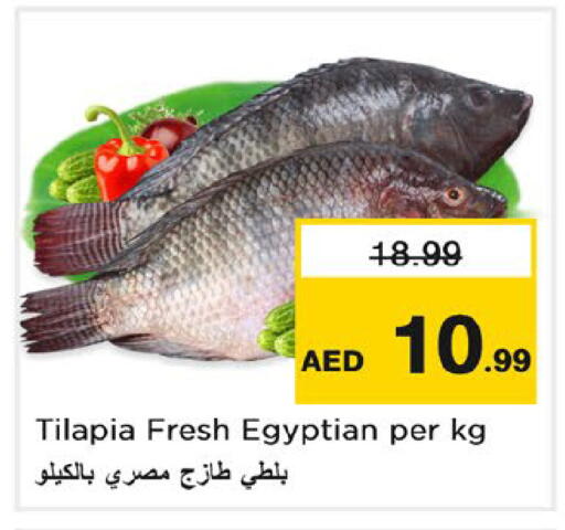available at نستو هايبرماركت in الإمارات العربية المتحدة , الامارات - رَأْس ٱلْخَيْمَة