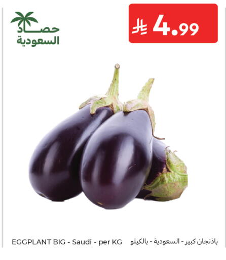 Eggplant from Saudi Arabia available at Carrefour in KSA, Saudi Arabia, Saudi - Medina