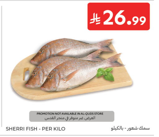 available at كارفور in مملكة العربية السعودية, السعودية, سعودية - الخبر‎