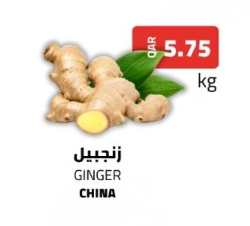 Ginger from China available at البلدي اليوم in قطر - الدوحة