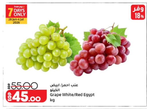 from Egypt available at لولو هايبرماركت in Egypt - القاهرة